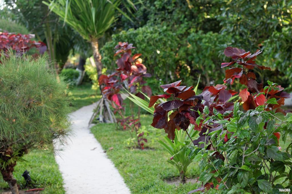Analatsara Eco Lodge Ile aux Nattes Екстериор снимка