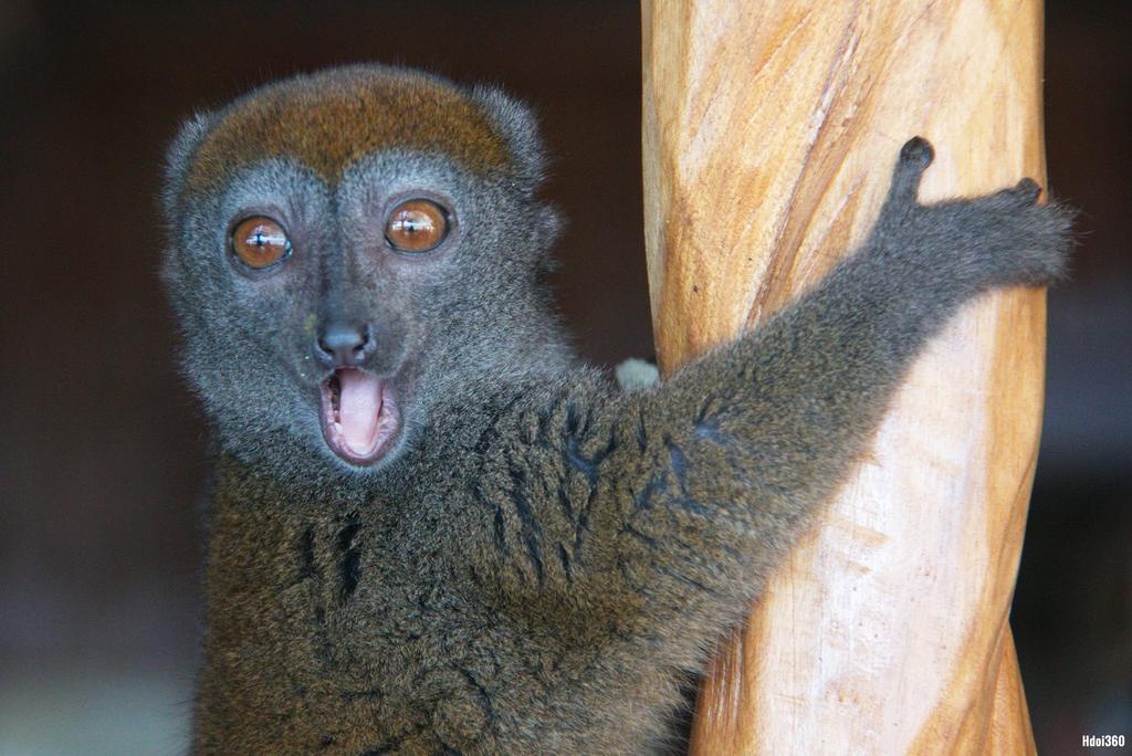Analatsara Eco Lodge Ile aux Nattes Екстериор снимка